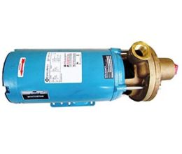 Pump with Motor Assembly Varian Part 10001599302